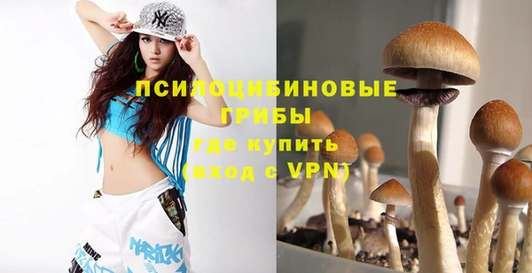 ALPHA PVP Алексин